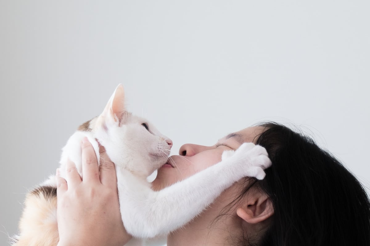 chat blanc embrassé avec la patte sur les cheveux de la femme